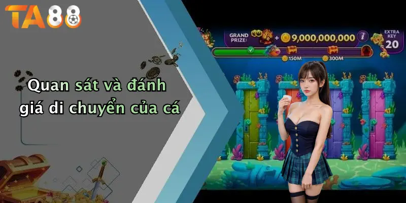 Quan sát và đánh giá di chuyển của cá